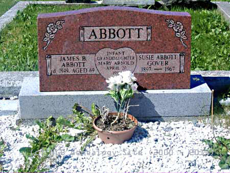 James, Susie, and Infant ANTHONY