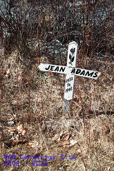 Jean Adams