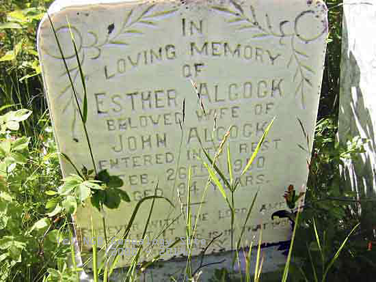 Esther Alcock