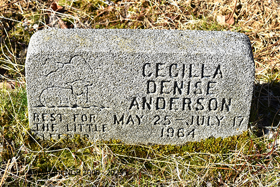 Cecilla Denise Anderspon