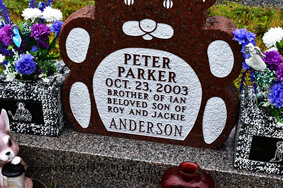 Peter Parker Anderson