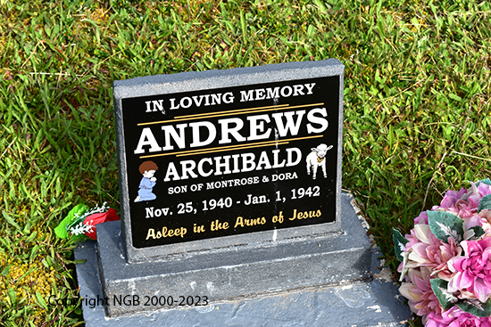Archibald Andrews