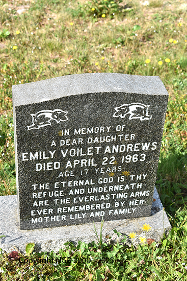 Emily Violet Andrews