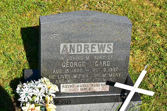 George Sigard Andrews