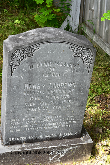 Henry Andrews
