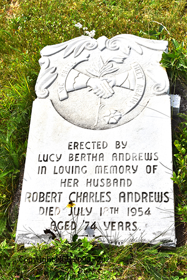 Robert Charles Andrews