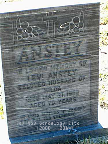 Levi Anstey