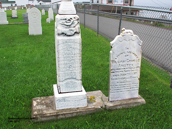 William George Anstey