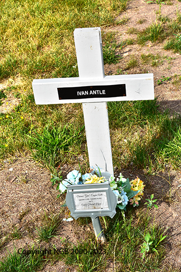 Clarence Eugene Antle