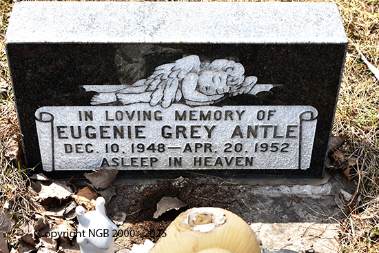 Eugenie Grey Antle