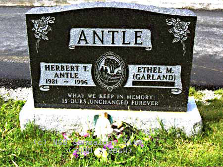 Herbert T. Antle