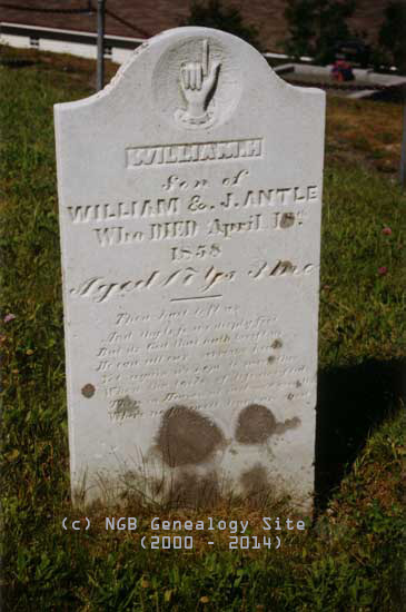 William H. Antle