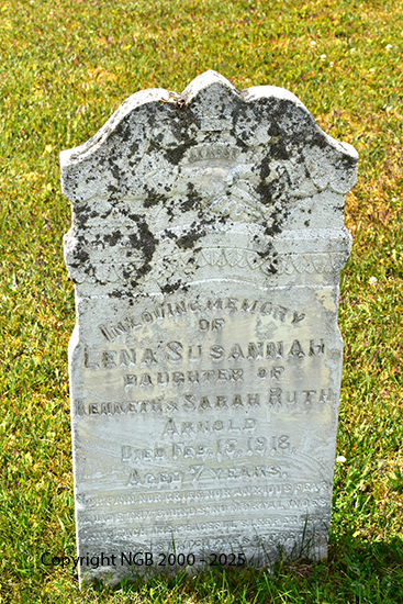Lena Susannah Arnold
