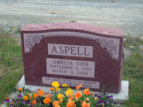 Amelia Ann Asphell