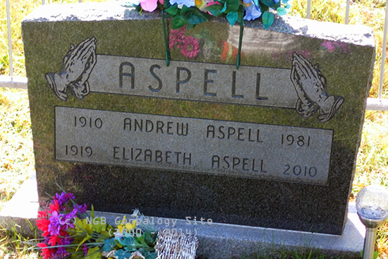 Andrew & Elizabeth Aspell