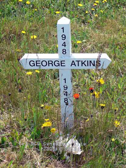 George Atkins