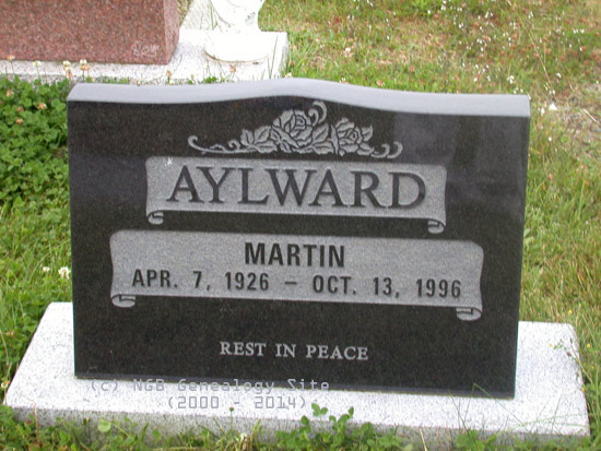 Martin Aylward