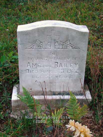 Amelia Bailey