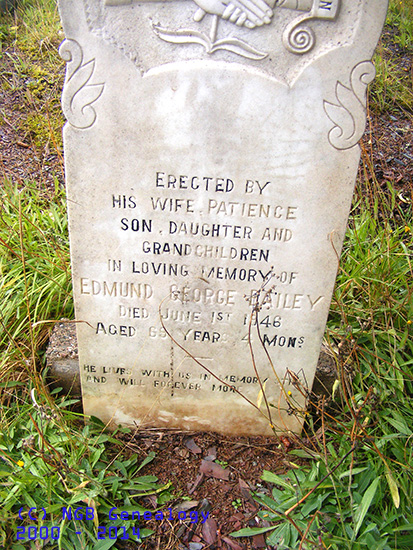 Edmund George Bailey