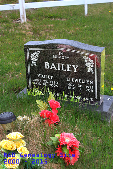 Violet & Llewellyn Bailey