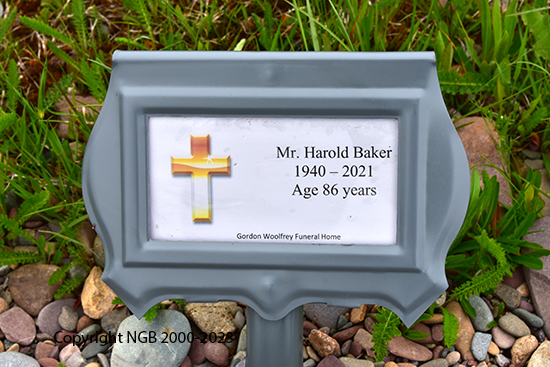 Mr.Harold Baker