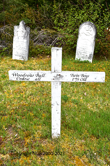 Woodrow & Cedric Ball