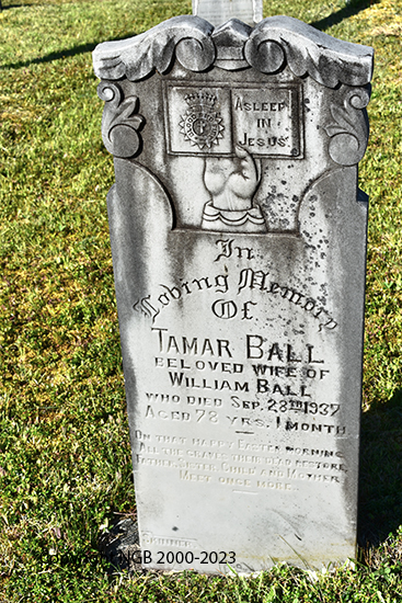 Tamar Ball