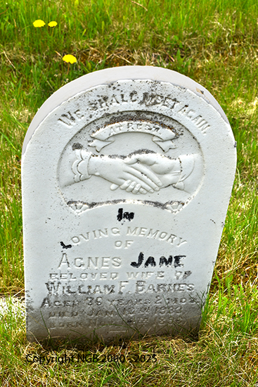 Agnes Jane Barnes