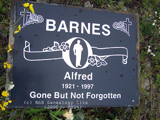 Alfred Barnes