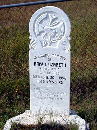 Amy Elizabeth Barnes