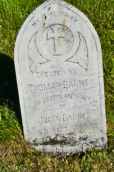 Julia Barnes