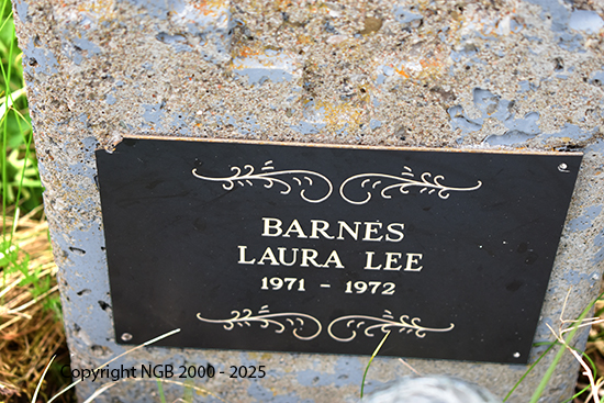 Laura Lee Barnes