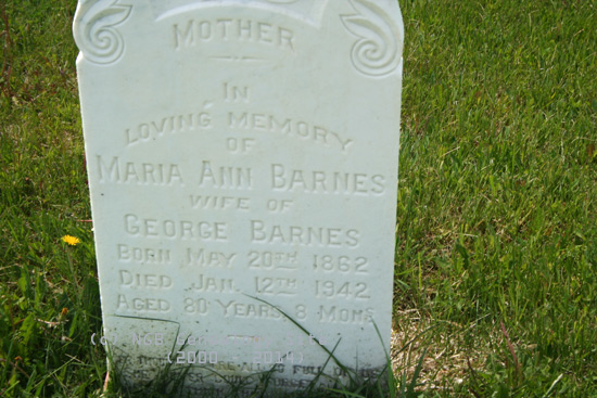 Maria Ann Barnes