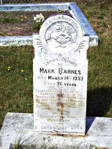 Mark Barnes