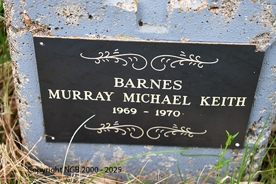 Murray Michael Keith Barnes