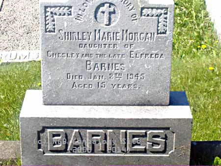 Shirley BARNES