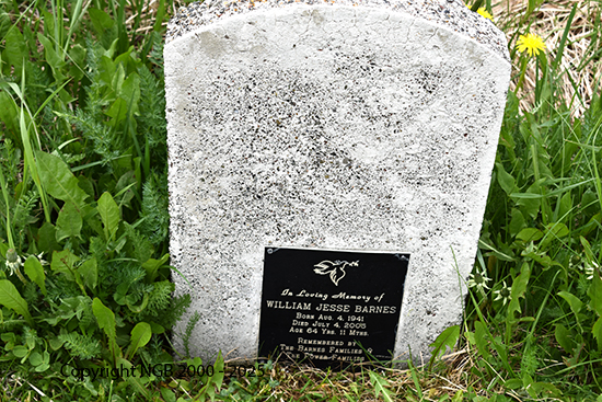 William Jesse Barnes