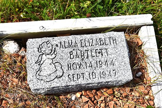 Alma Elizabeth Bartlett