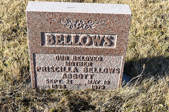Priscilla Bellows Abbott