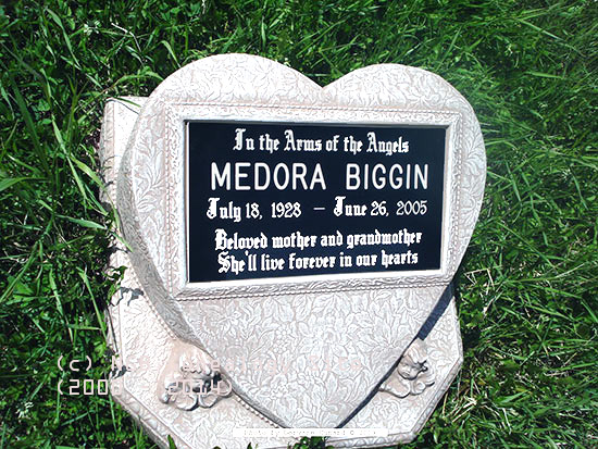 Medora Biggin