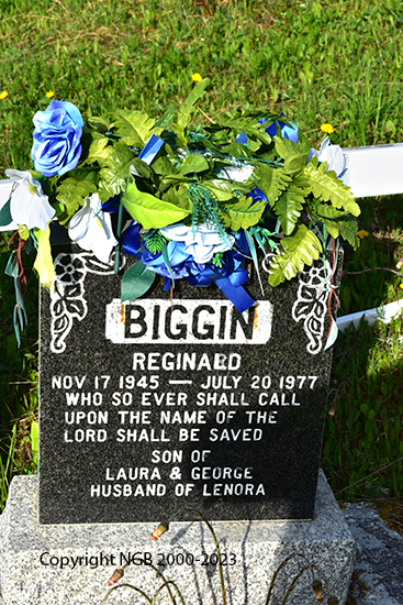 Reginald Biggin