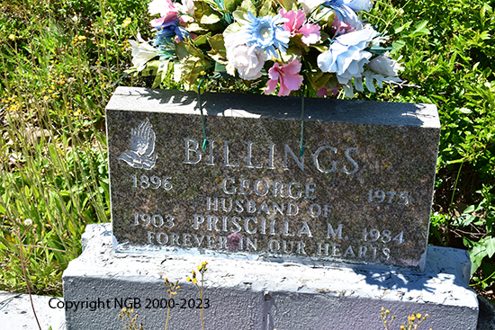 George & Priscilla Billings