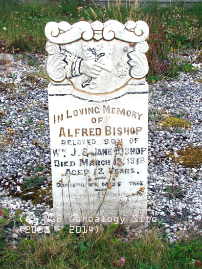 Albert Bishop