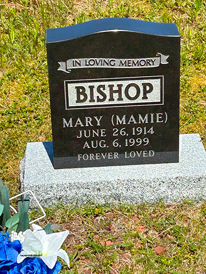 Mary Bishop