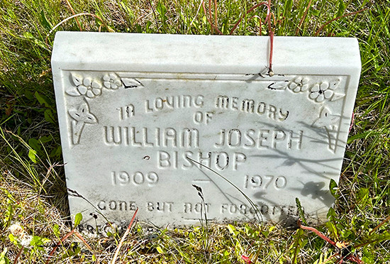 William Joseph Bishop[