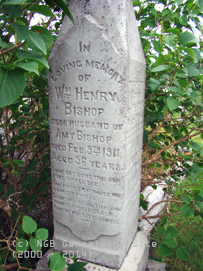 William Henry Bishop