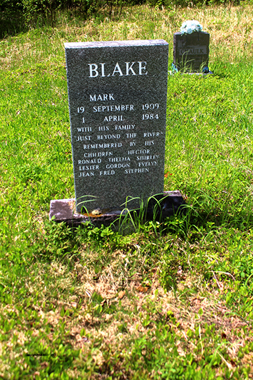 Mark Blake