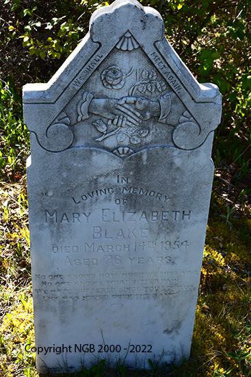 Mary Elizabeth Blake