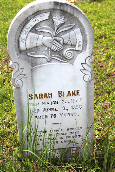 Sarah Blake