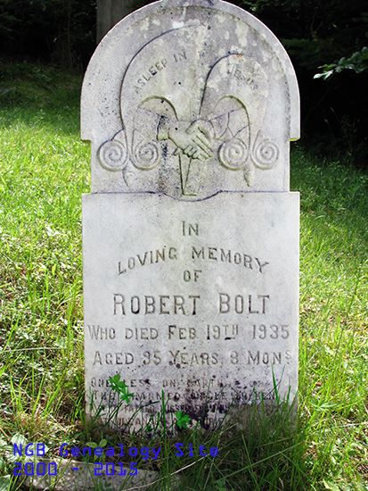 Robert Bolt